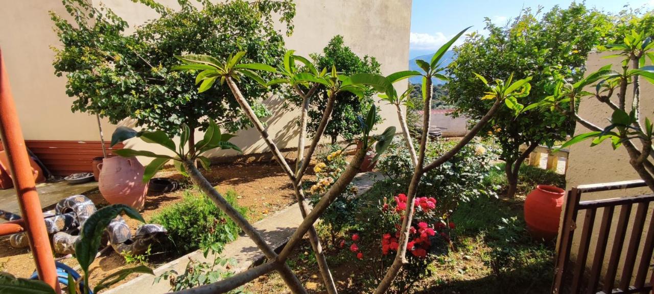 Village House With A Nice Garden Sternai ภายนอก รูปภาพ